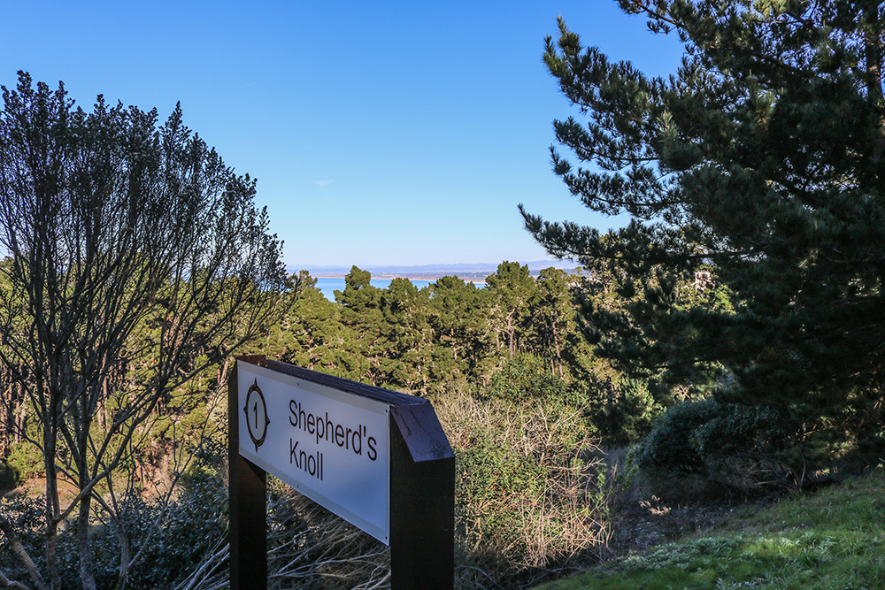 17md_blog_12-2-16_km-001-shepherds-knoll