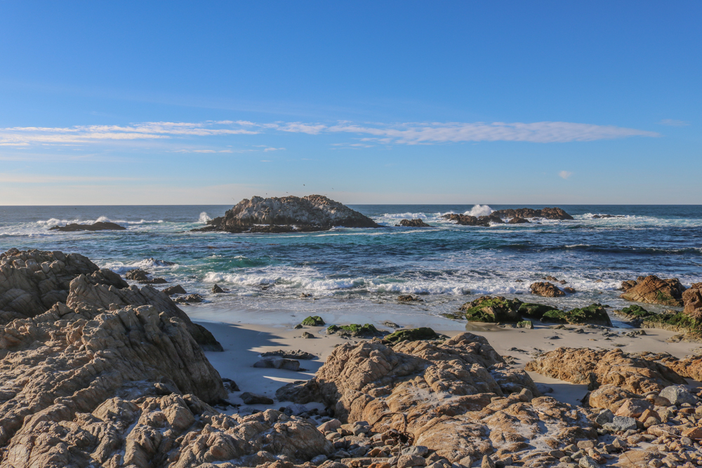 17md_blog_12-2-16_km-061-bird-rock-2
