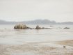 Stillwater cove on a foggy afternoon