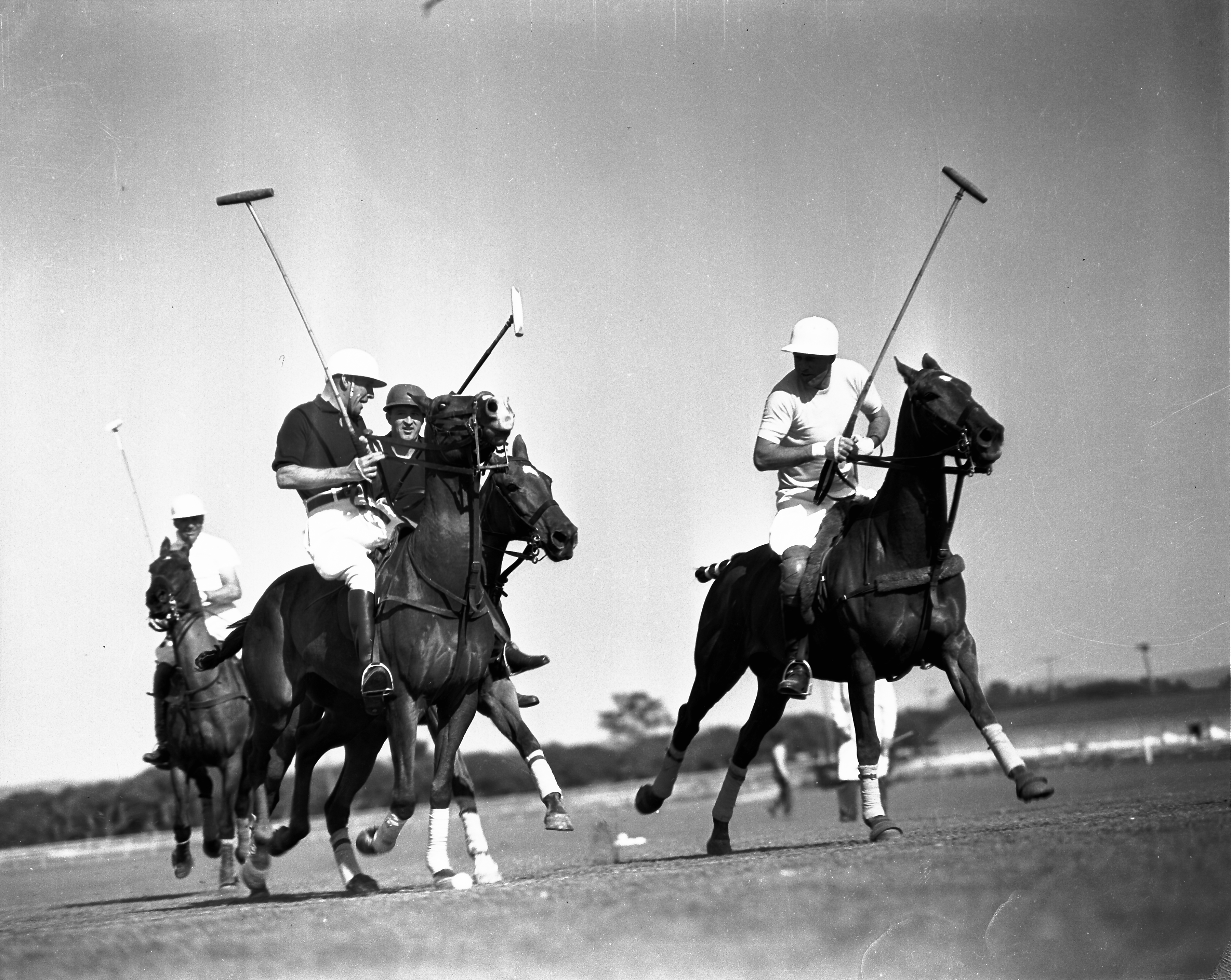 Polo at Del Monte