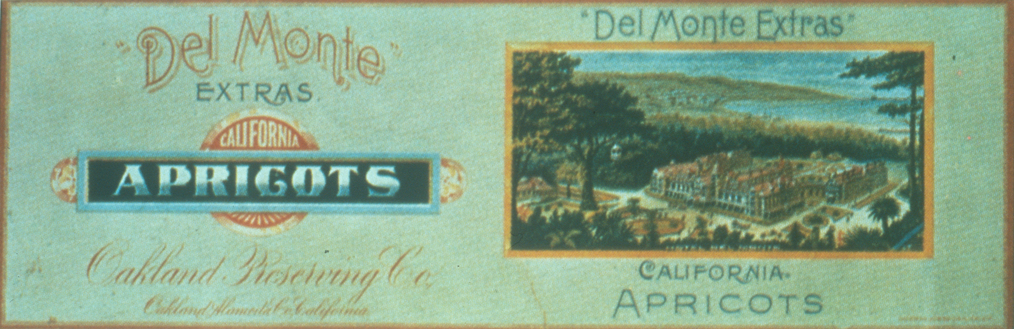 Del Monte Foods