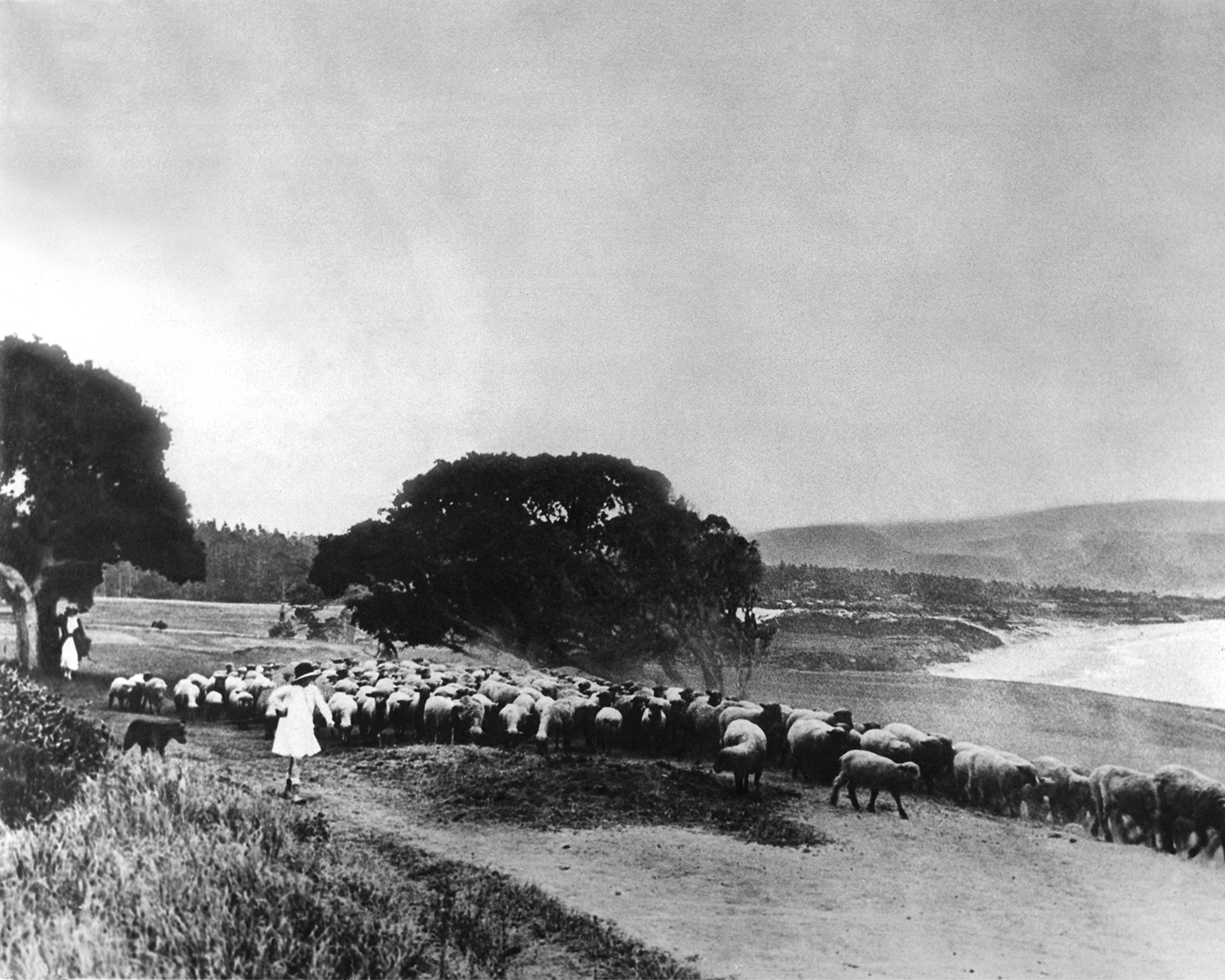 heritage_collection_h105_c_pebble_beach_company