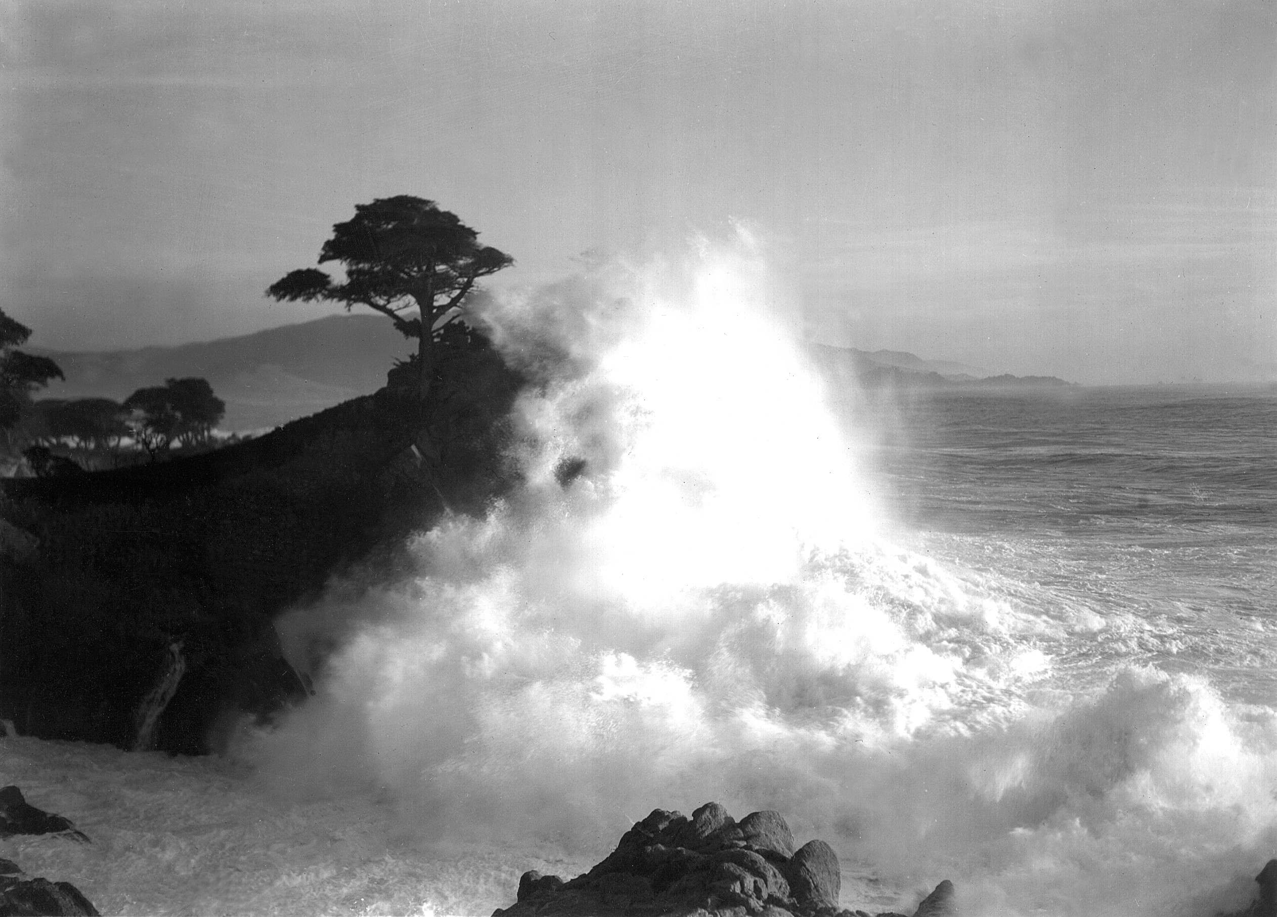 Bg Wave at The Lone Cypress